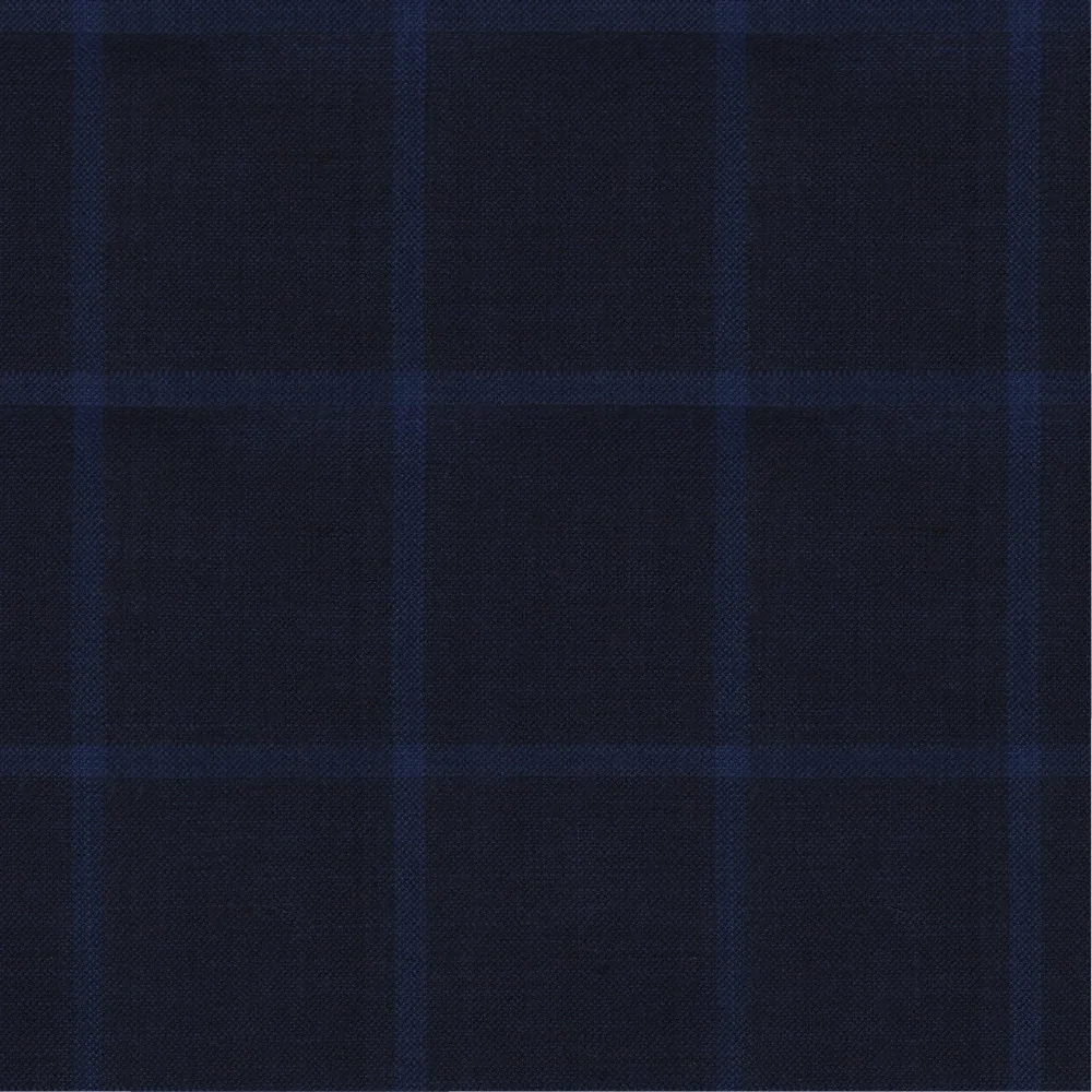 Navy Blue With Light Blue Window Check