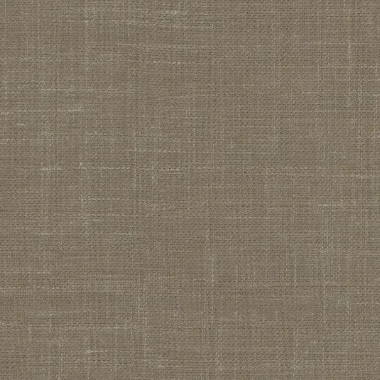 Tan Brown Solid