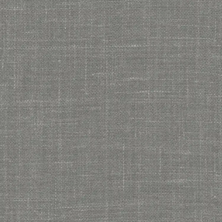 Light Gray Solid