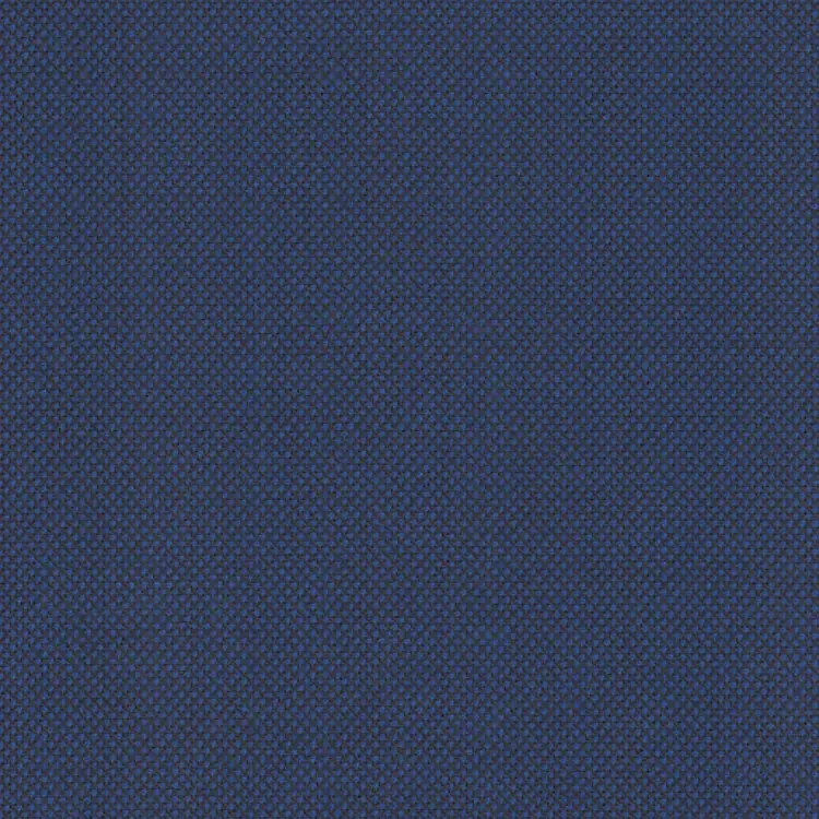 Prussian Blue Birdseye
