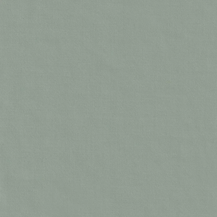 Light Cool Mint