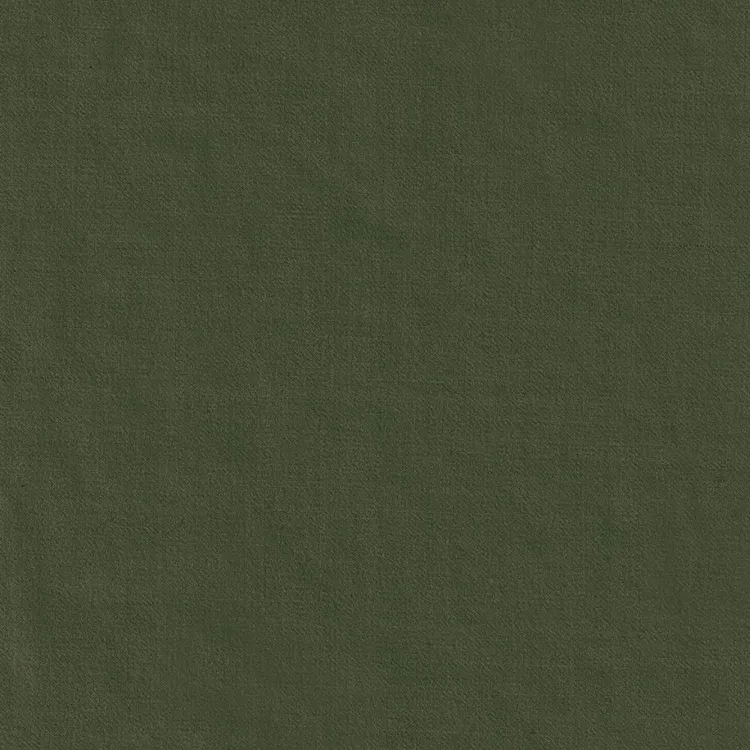 Light Olive Green