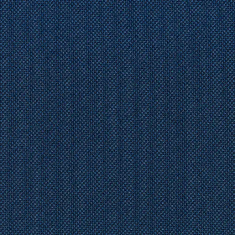 Prussian Blue Birdseye