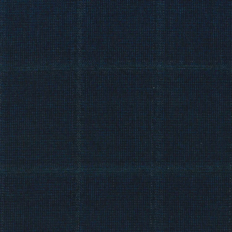 Dark Teal Blue Windowpane