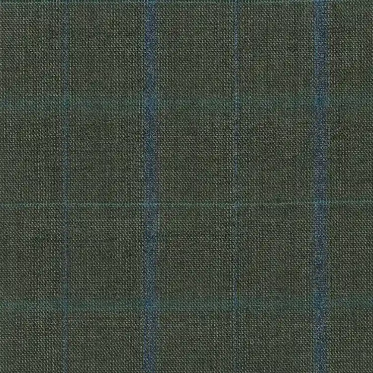 Dark Olive Green with Blue and Sage Check