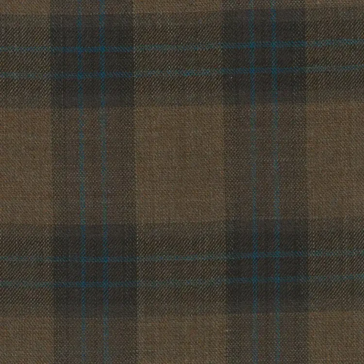 Brown with Blue Check