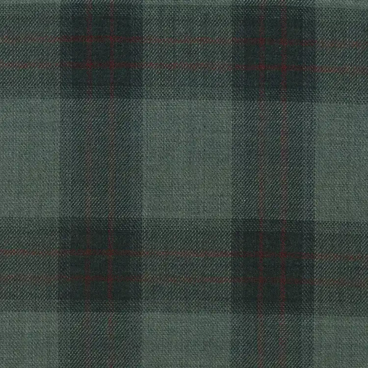Sage Green with Faded Maroon Check