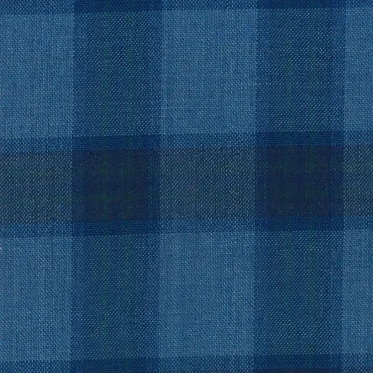Light Blue with Faded Green Check