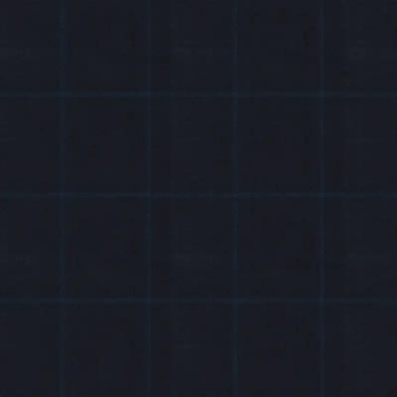 Black With Blue Window Check