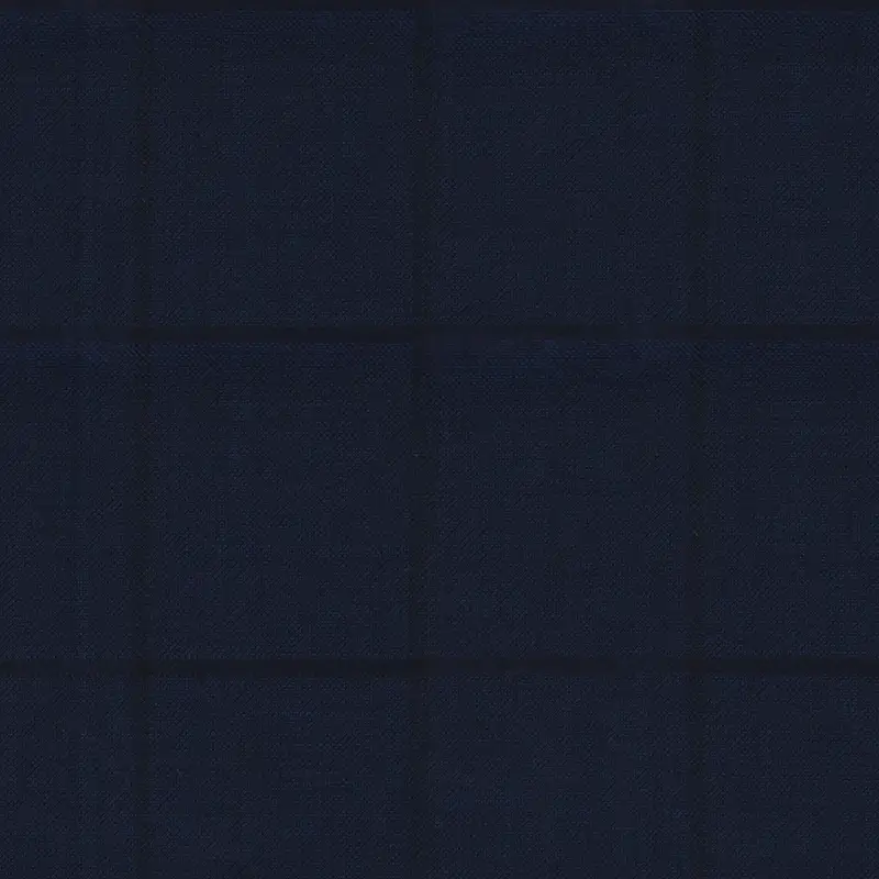 Navy Blue With Black Window Check