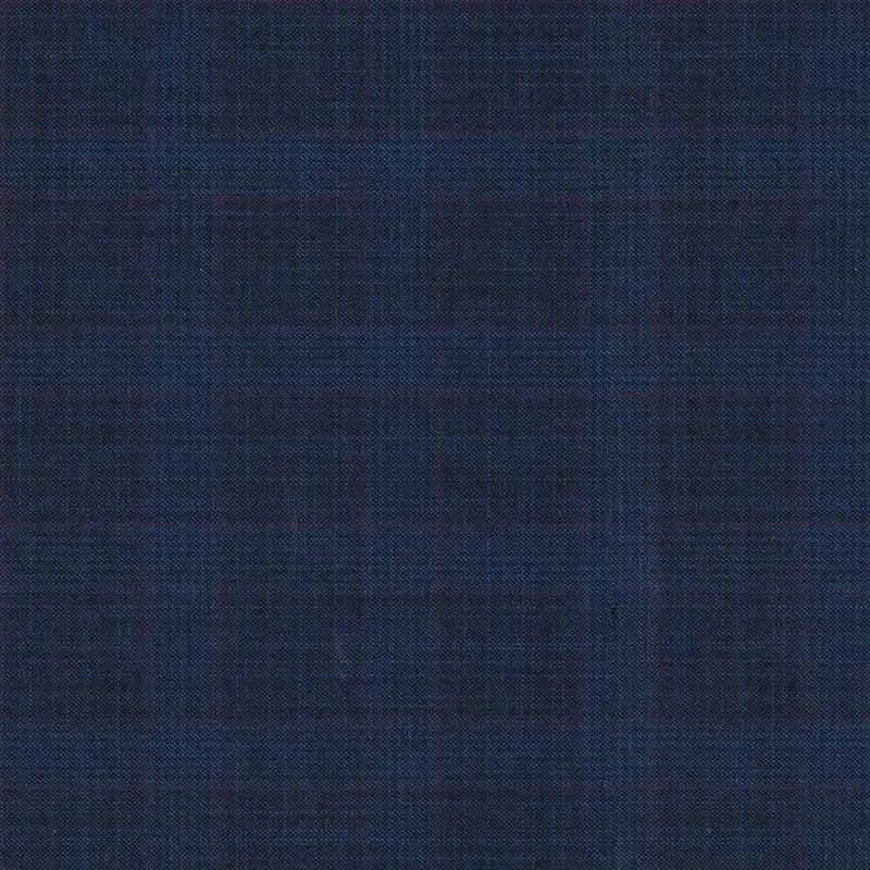 Blue With Dark Purple Check