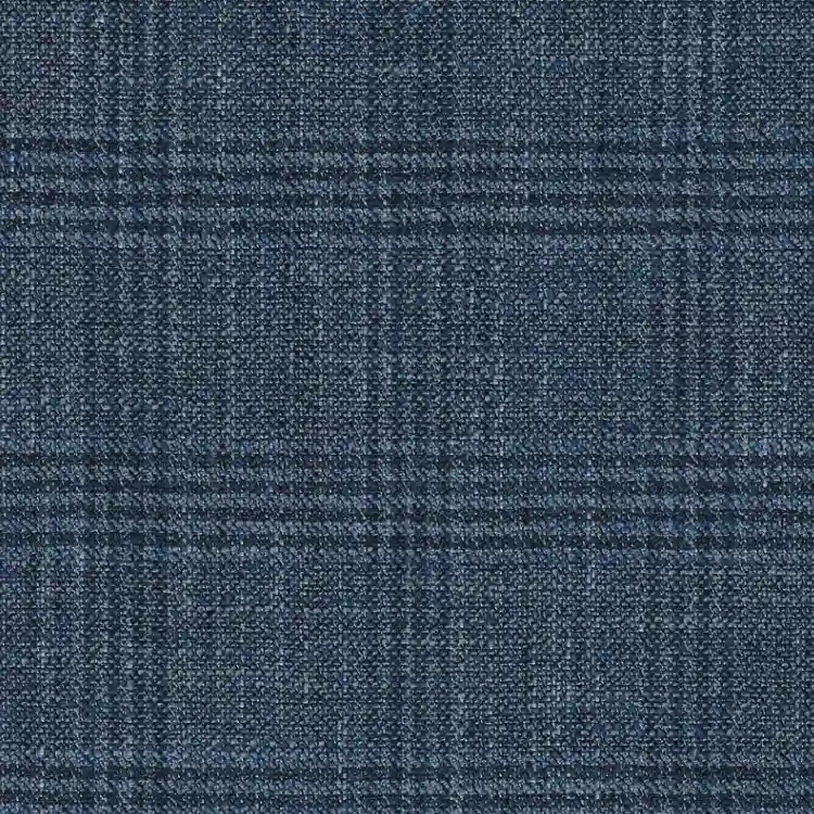 Blue with Navy Check