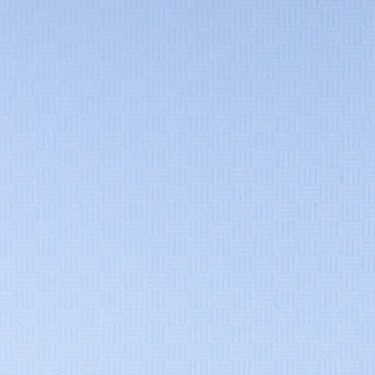 Light Blue Self Texture Shirt Fabric