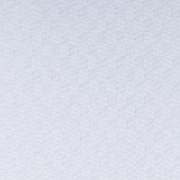 White Self Texture Shirt Fabric