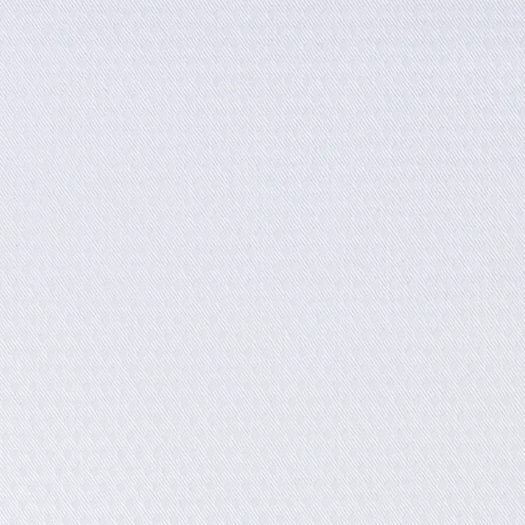 White Self Texture Shirt Fabric