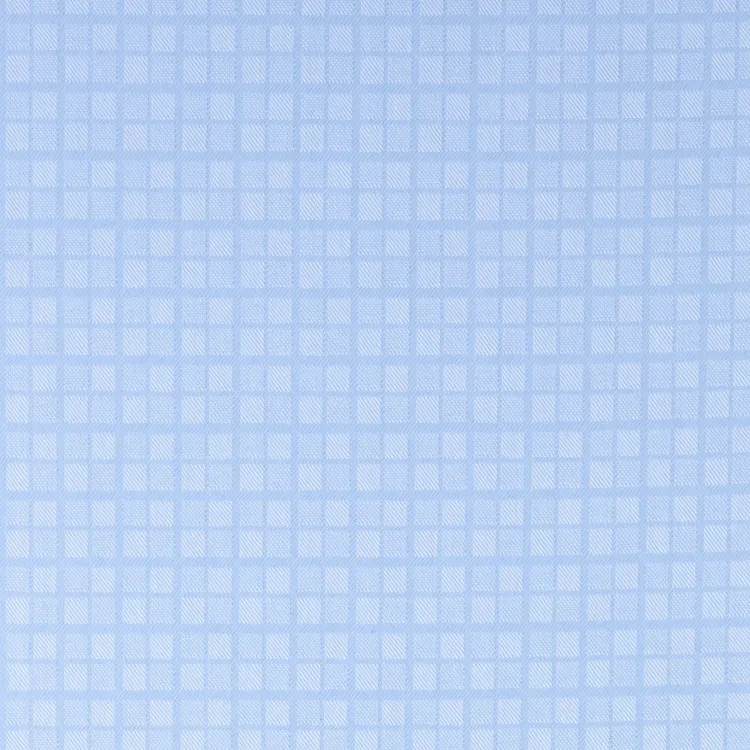 Light Blue Self Texture Shirt Fabric