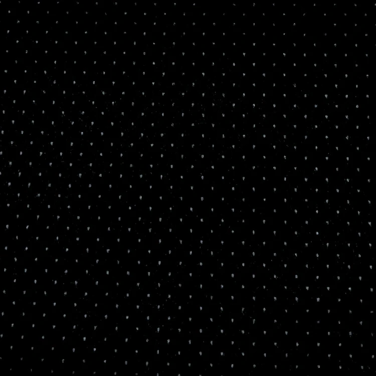 Black Dotted Velvet