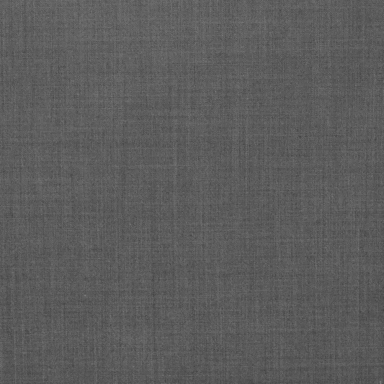 Light Gray Solid
