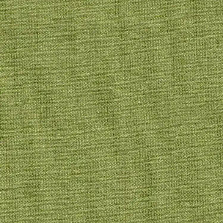 Avocado Green Solid