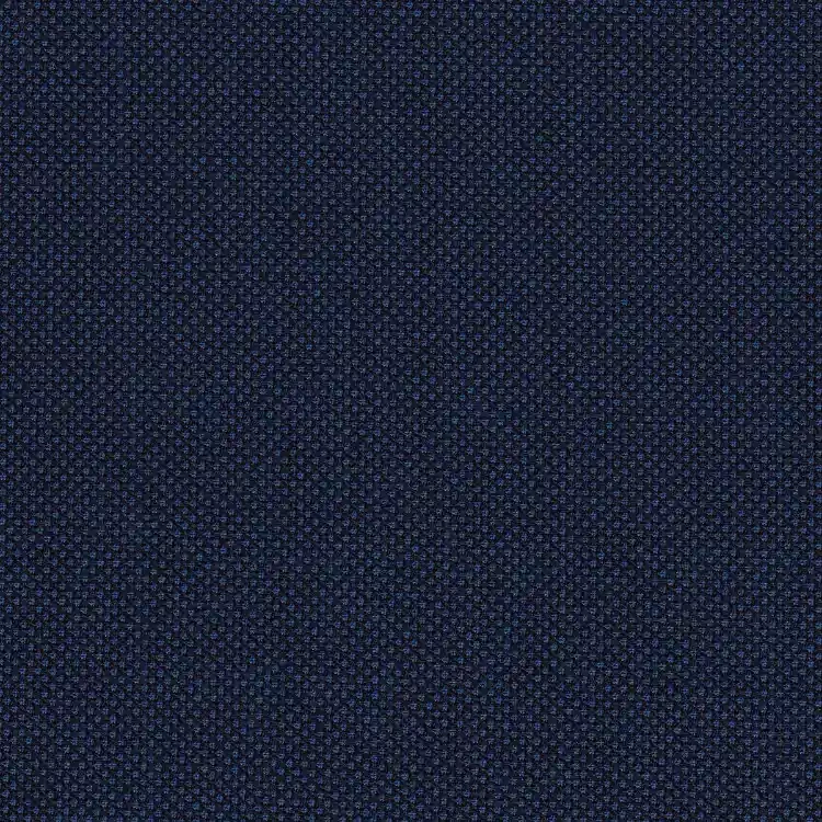 Cobalt Blue Birdseye