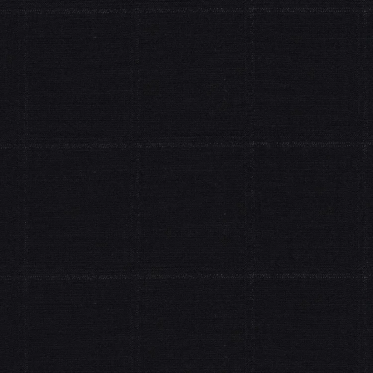 Black with Silver Check