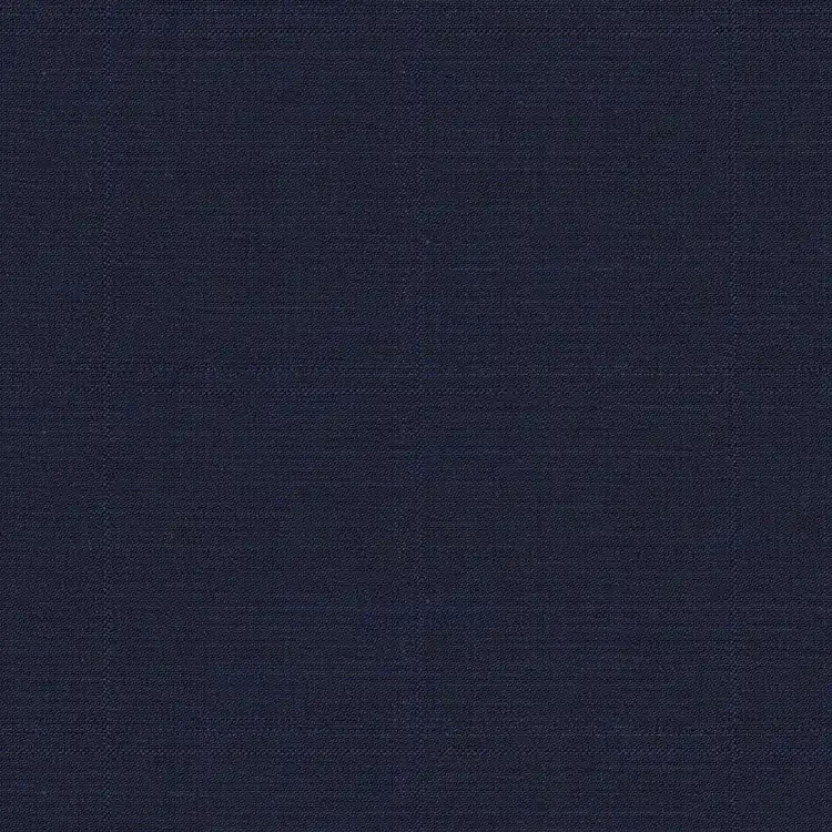 Navy Blue Check