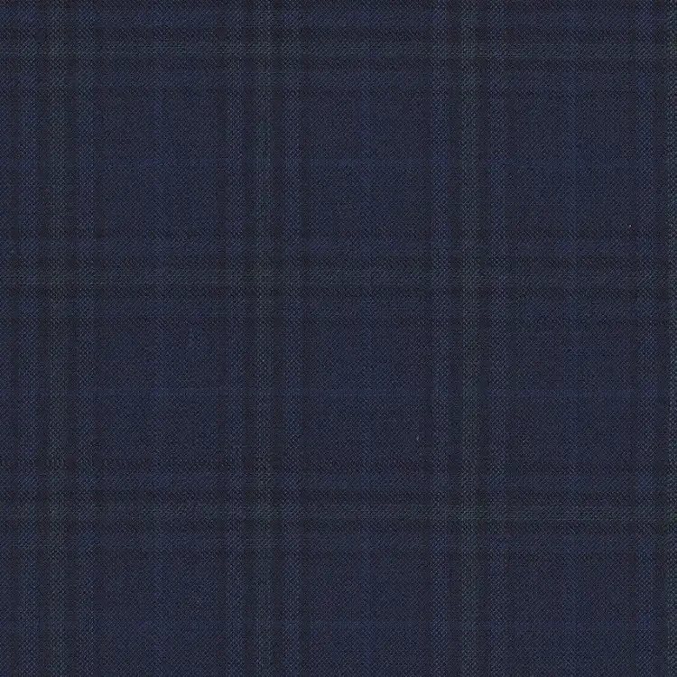 Navy and Green Check