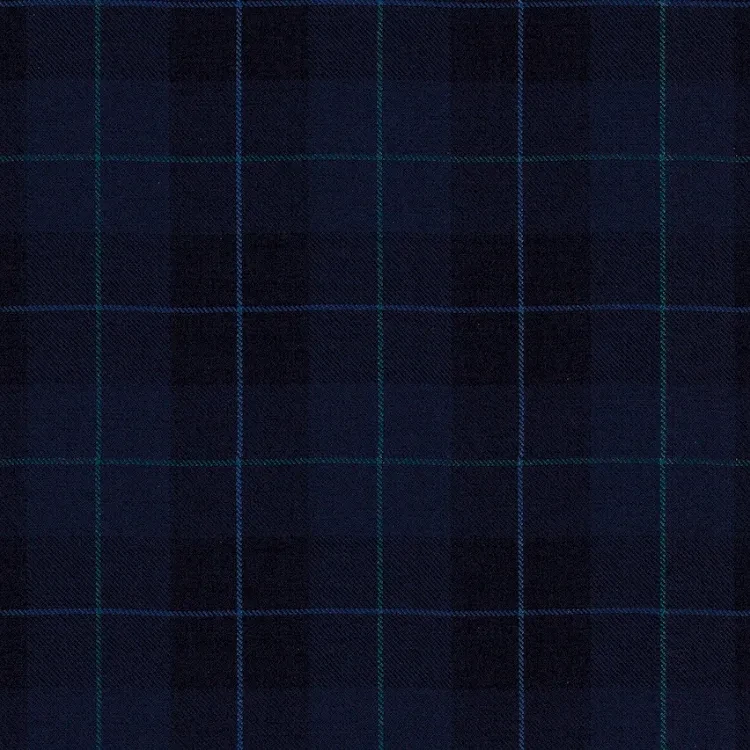 Navy with Light Blue and Green Check