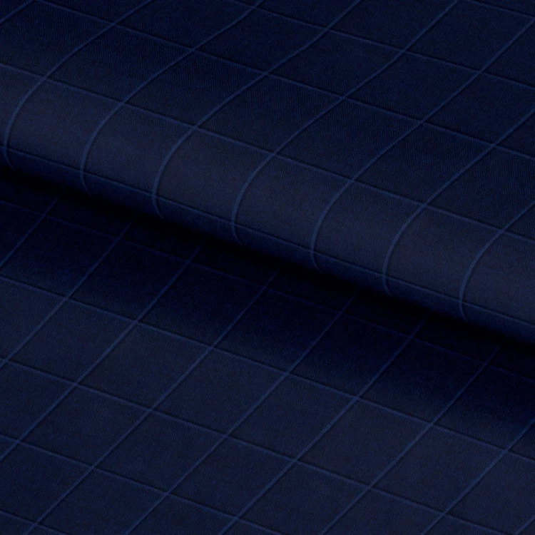 Cobalt Blue Windowpane