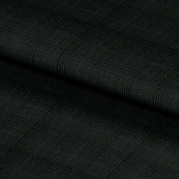 Green and Black with Light Blue Windowpane