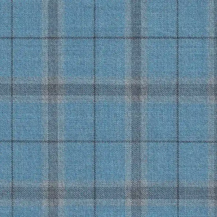 Light Blue with Gray Check