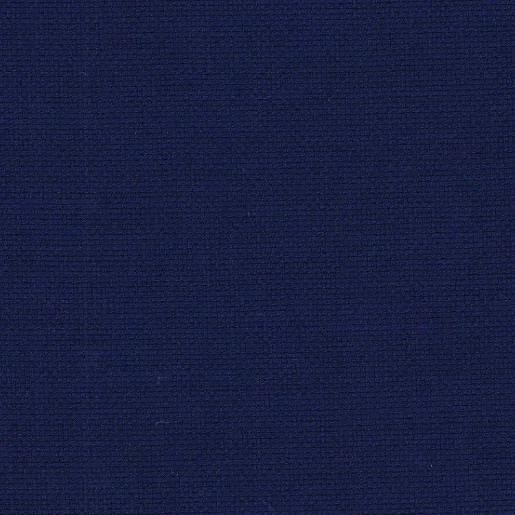 Royal Blue Birdseye