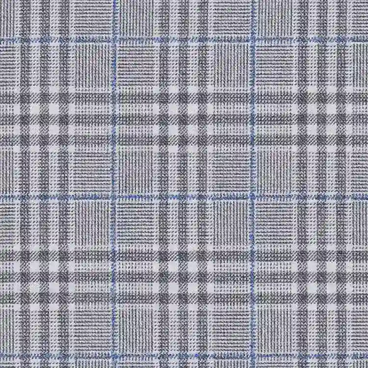 Silver Gray with Blue Check