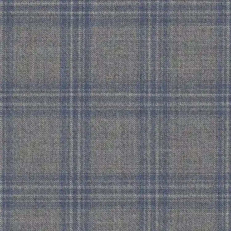 Light Gray with Blue Check