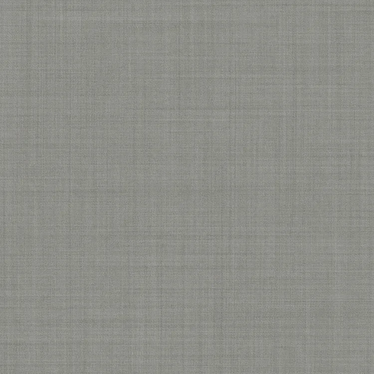 Silver Gray Solid