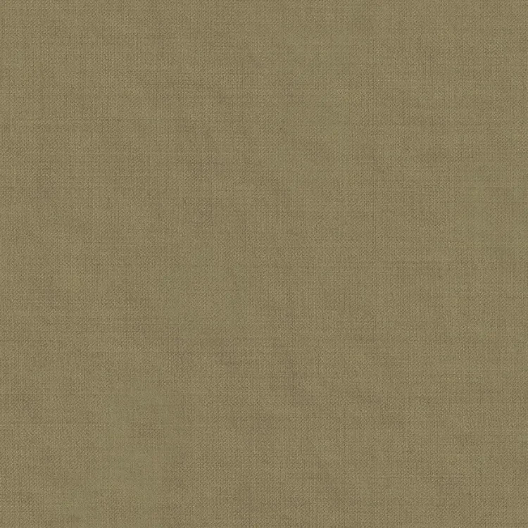 Light Camel Solid