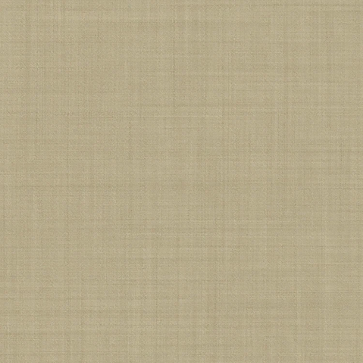 Beige Solid