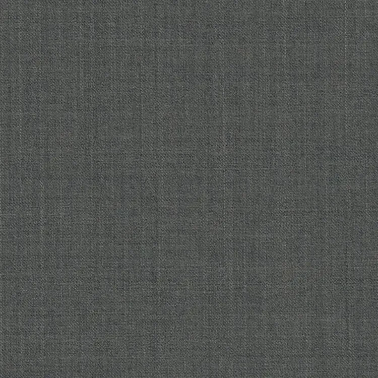 Light Gray Solid