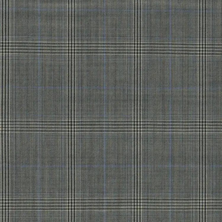 Light Gray With Blue Windowpane