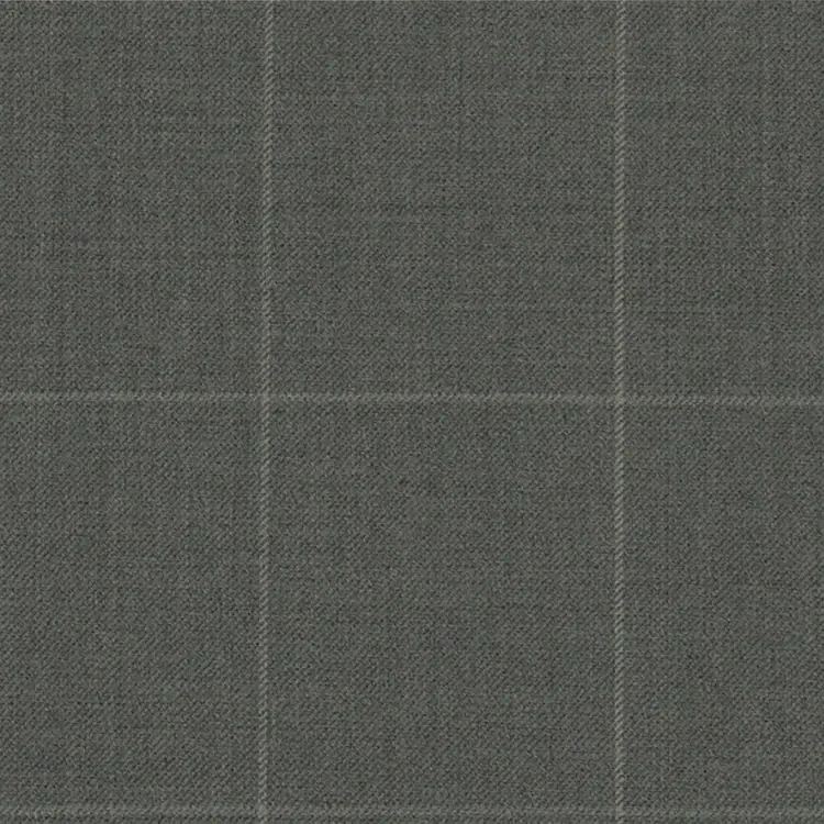 Light Gray Windowpane