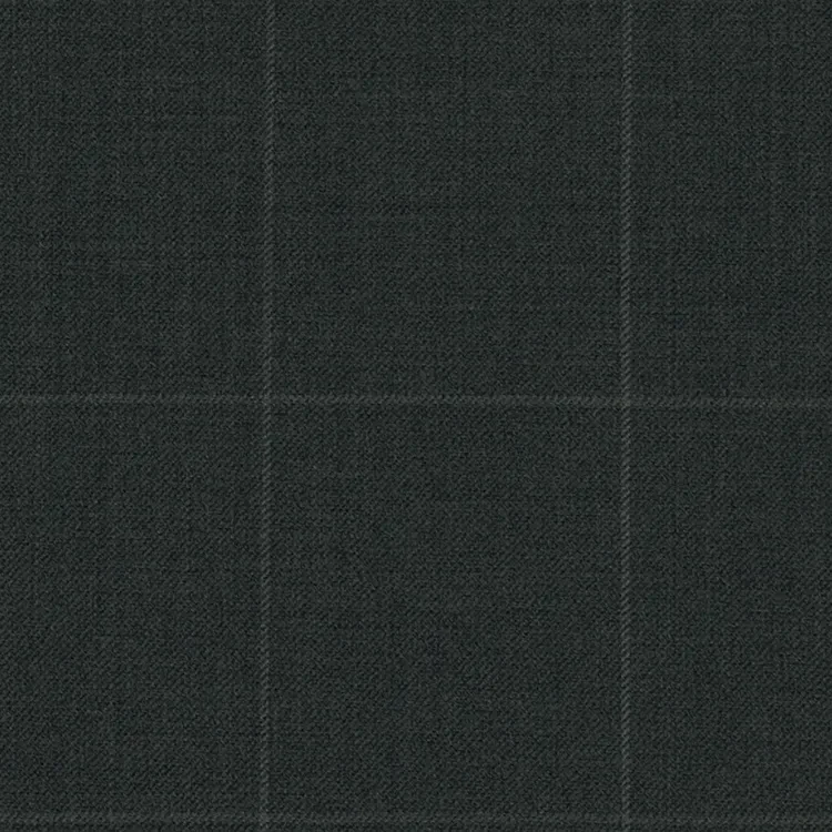 Dark Gray Windowpane