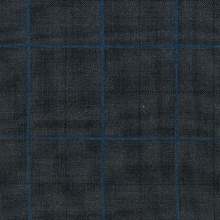 Dark Gray with Blue Windowpane