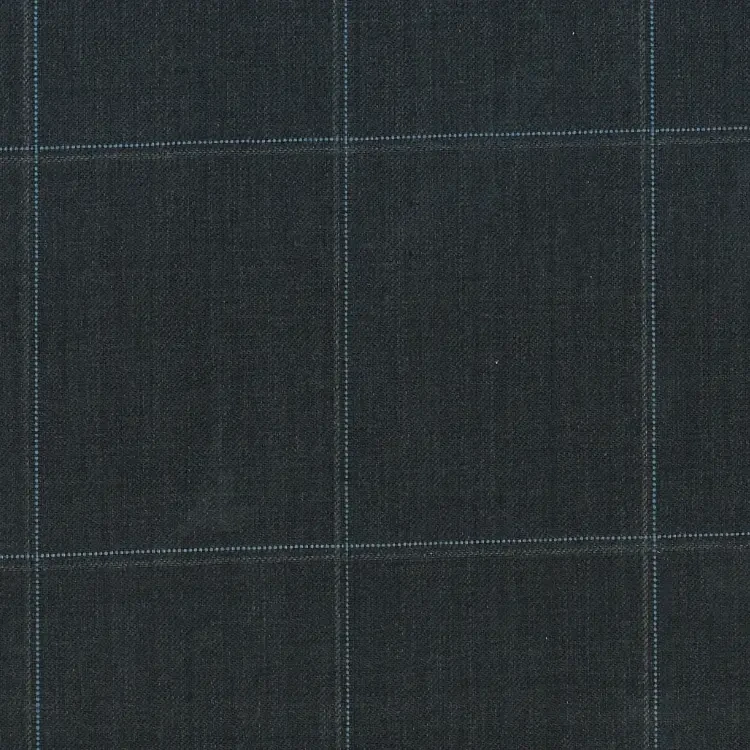Gray with Thin Light Blue Windowpane
