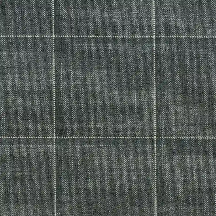 Gray with Beige Windowpane