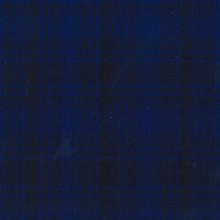 Prussian Blue with Black Check