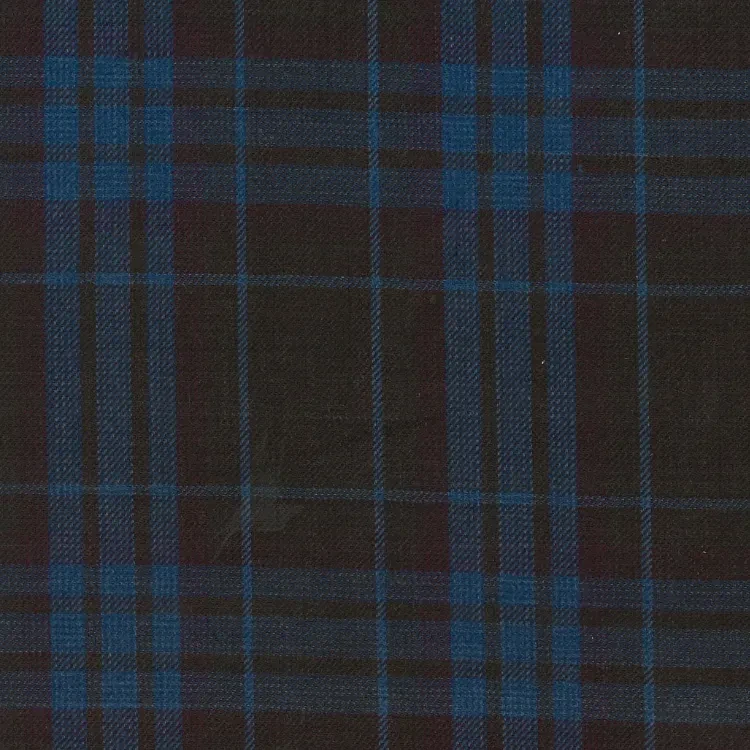 Brown with Sky Blue Check