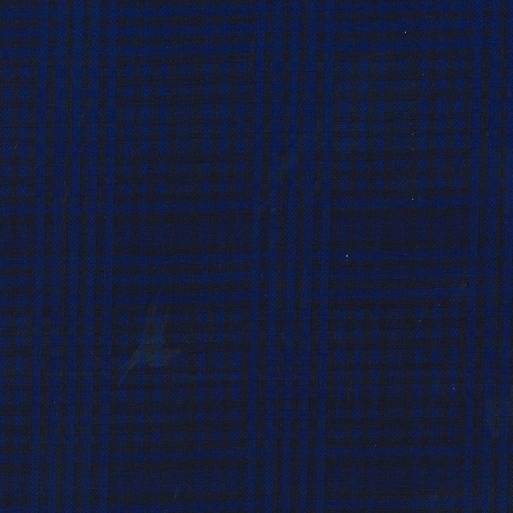 Prussian Blue with Black Check