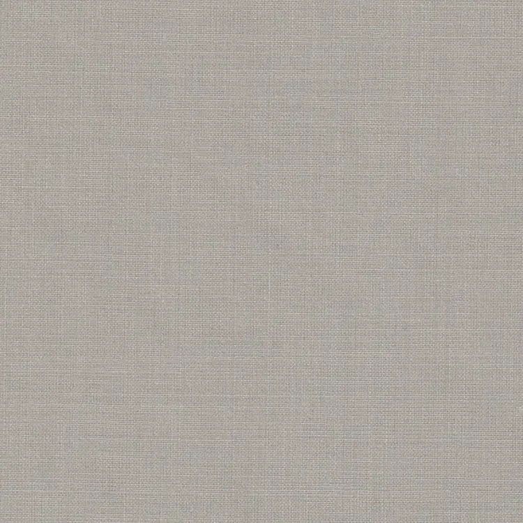 Beige Solid