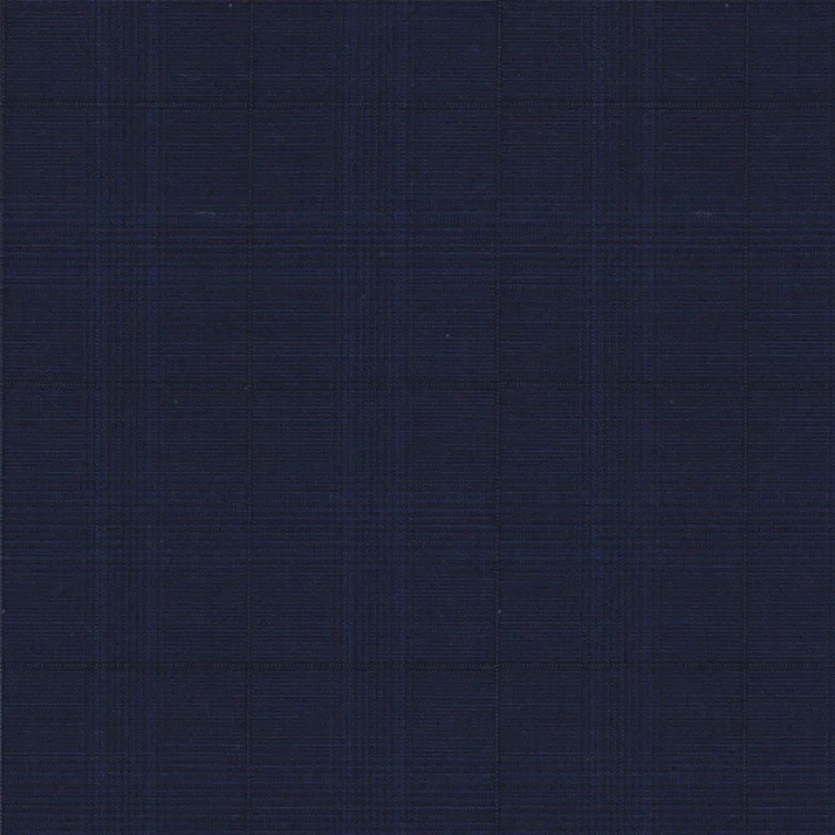 Navy with Blue Check