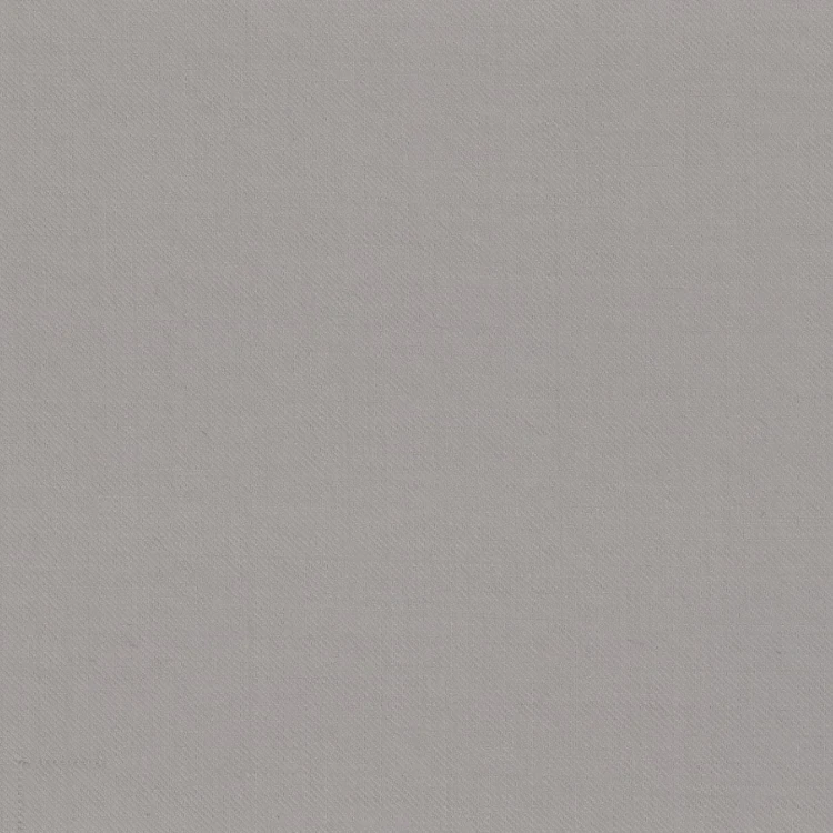 Silver Gray Solid
